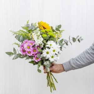 Yellow primavera
