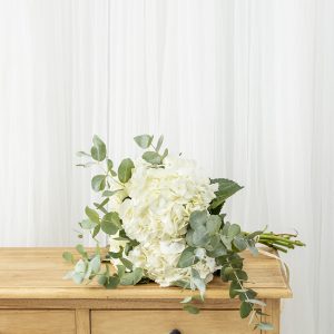 Hortensias