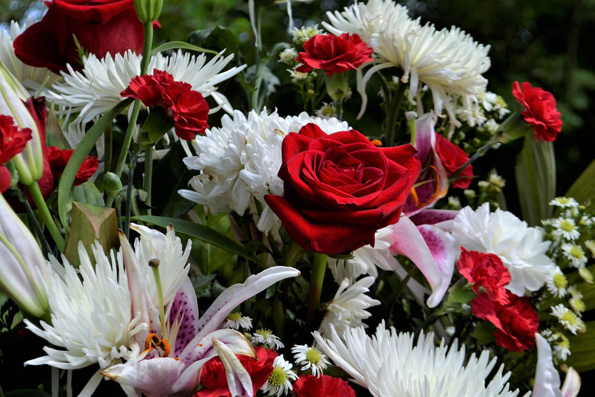 La Camelia Servicios Funerarios 1