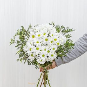 Margarita Blanca